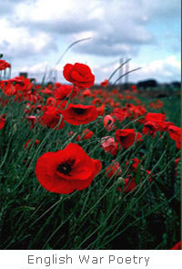 english war poetry